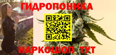 крисы Малоярославец