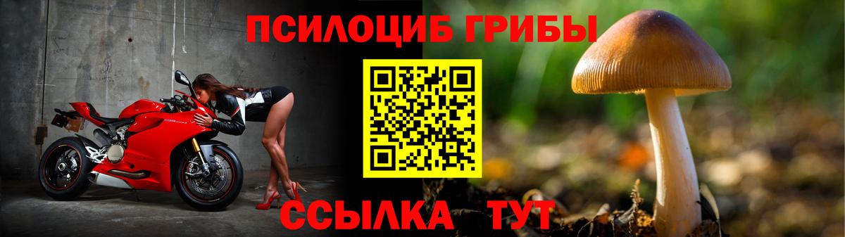 Псилоцибиновые грибы Cubensis  Галлюциногенные грибы Psilocybe  Топки  Вход с VPN 